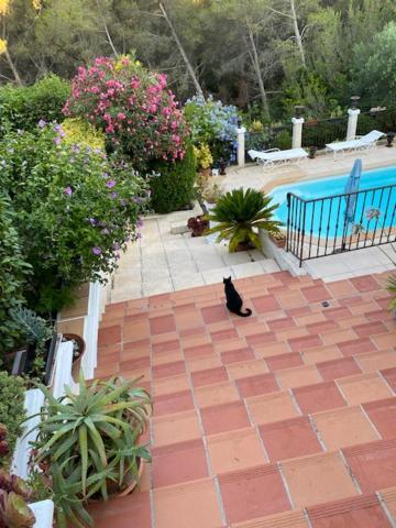 La Florentine Bandol Exteriér fotografie